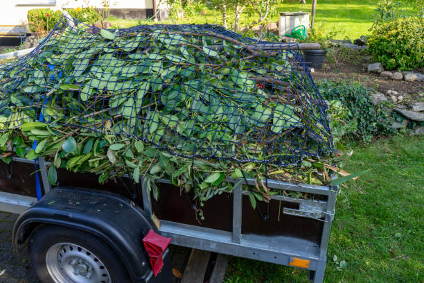 Trusted Duluth, GA Junk Removal Services Experts